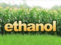 Cồn Ethanol tuyệt đối - Cồn Thiên Long - Công Ty TNHH Thương Mại Dịch Vụ Sơn Thiên Long